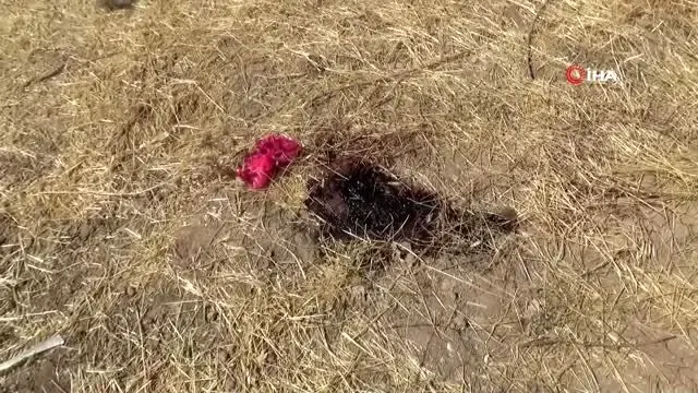 5 kişinin öldüğü Diyarbakır'daki silahlı kavgada kahreden detay! Hırsız sandıkları kişileri kovalarken öldüler