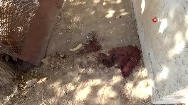 5 kişinin öldüğü Diyarbakır'daki silahlı kavgada kahreden detay! Hırsız sandıkları kişileri kovalarken öldüler