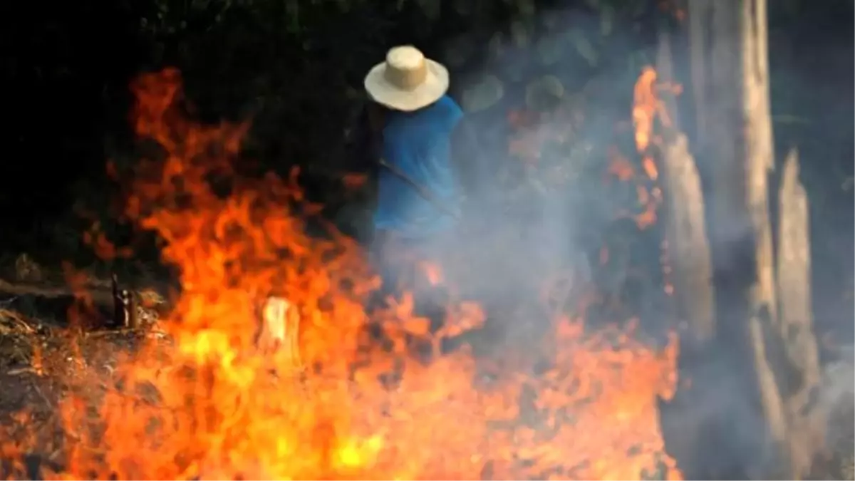 Amazon'da ocak ayından bu yana 72 bin orman yangını çıktı