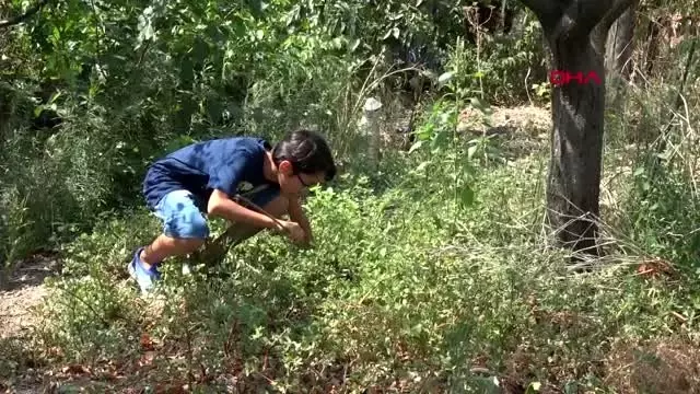 Balıkesir 12 yaşındaki Mehmet, hayvan sevgisiyle sosyal medya fenomeni oldu 1