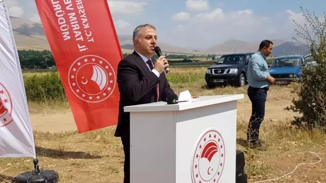 Develi'de Tarla Gününde Nohut Çeşitleri Tanıtıldı Develi'de Tarla Gününde Nohut Çeşitleri Tanıtıldı