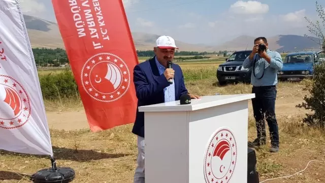 Develi'de Tarla Gününde Nohut Çeşitleri Tanıtıldı Develi'de Tarla Gününde Nohut Çeşitleri Tanıtıldı