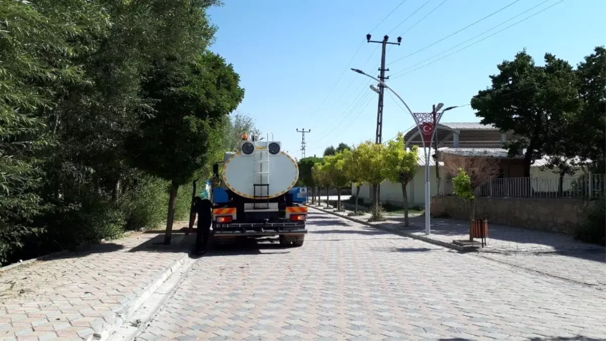 Gürpınar'da ağaç bakım çalışması