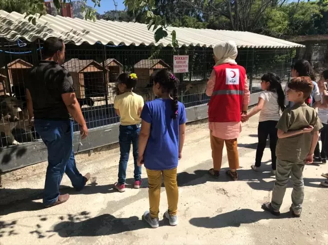 Hatay'da çocuklardan sokak hayvanlarına destek