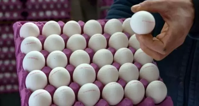 Irak Tarım Bakanı yumurta ithalatı için Türkiye'ye davet edildi