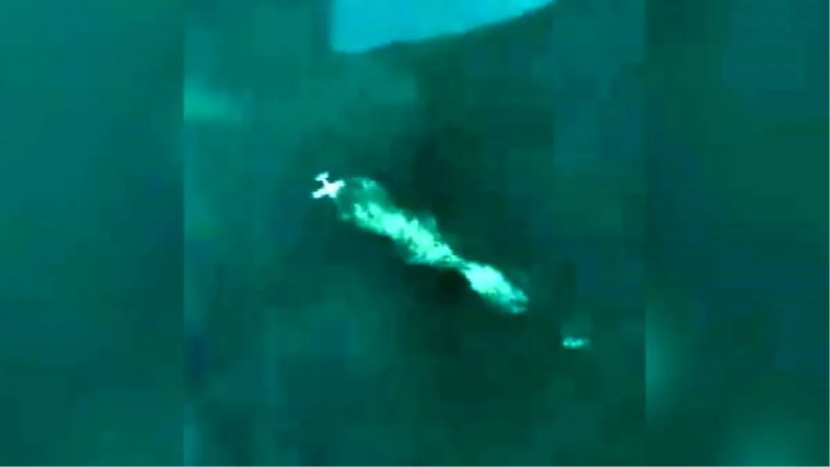 Uçakları düştü, okyanustan bir helikopter ile kurtarıldılar... O anlar kamerada