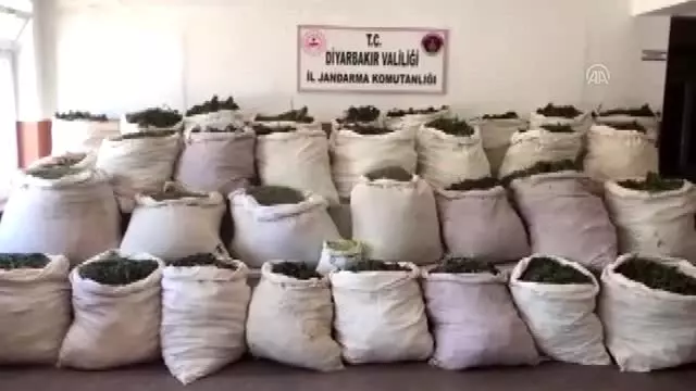 Uyuşturucu operasyonu