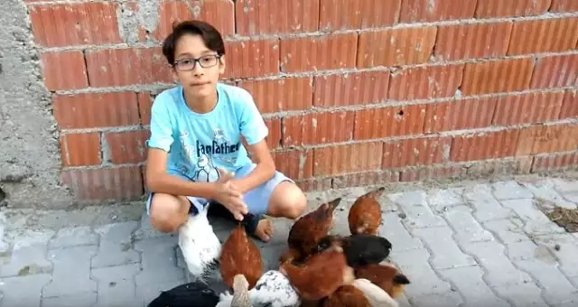 12 yaşındaki Mehmet, hayvan sevgisiyle sosyal medya fenomeni oldu