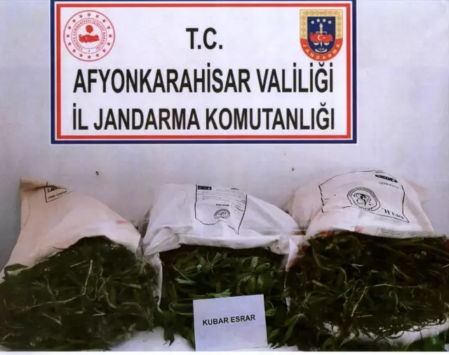 Afyonkarahisar'da esrar operasyonu