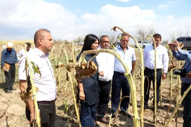 Aksaray'daki dolu afetinde zarar gören arazi 20 bin dekara yükseldi Aksaray'daki dolu afetinde zarar gören arazi 20 bin dekara yükseldi