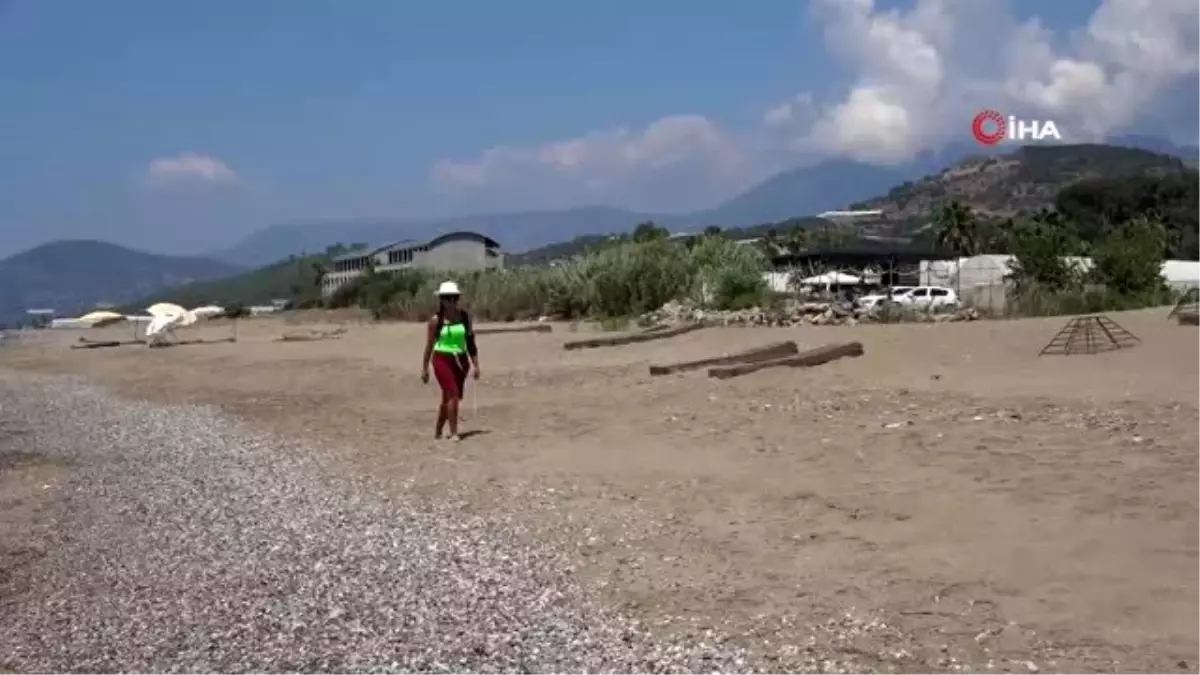 Alanya'da koruma altındaki kum zambakları ilgisiz kaldı