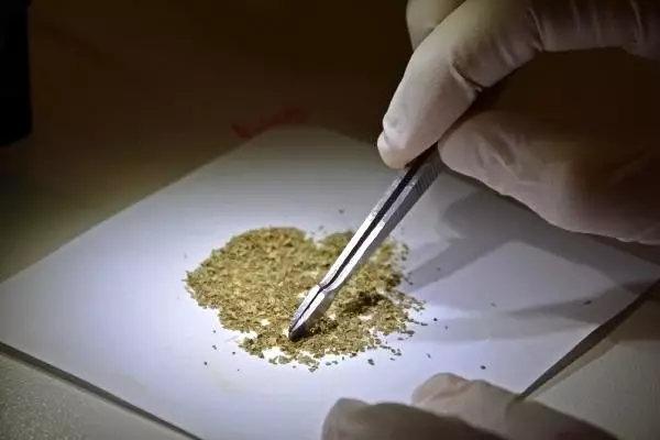 Bitki çaylarında korkutan laboratuvar sonuçları: Böcek parçaları, kaş ve kirpik bulundu Bitki çaylarında korkutan laboratuvar sonuçları: Böcek parçaları, kaş ve kirpik bulundu