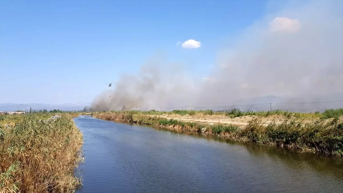 Edremit Körfezi'nde sazlık alanda yangın