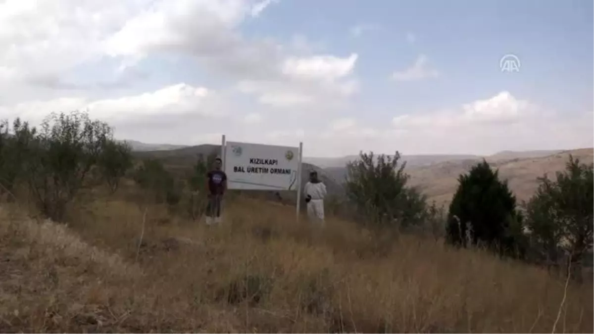 Haziran yağışları bal üreticisinin yüzünü güldürdü - NİĞDE