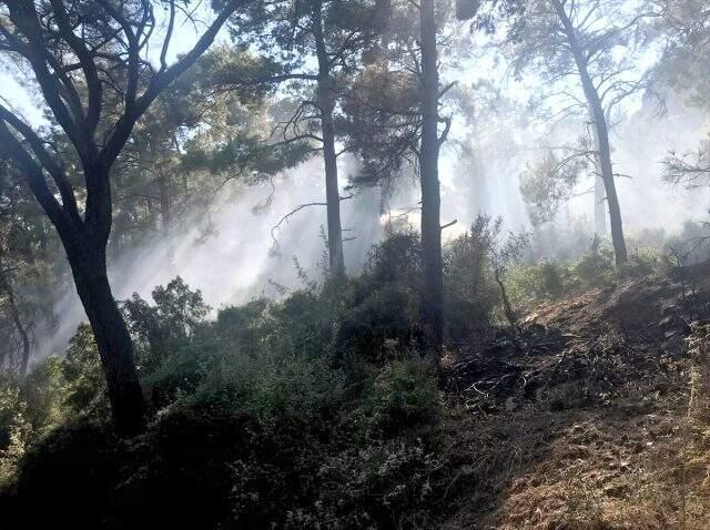 İzmir'in ardından Balıkesir ve Muğla da alev alev yanıyor