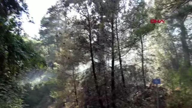 Marmaris'te aynı yerde 3'ncü orman yangını Marmaris'te aynı yerde 3'ncü orman yangını