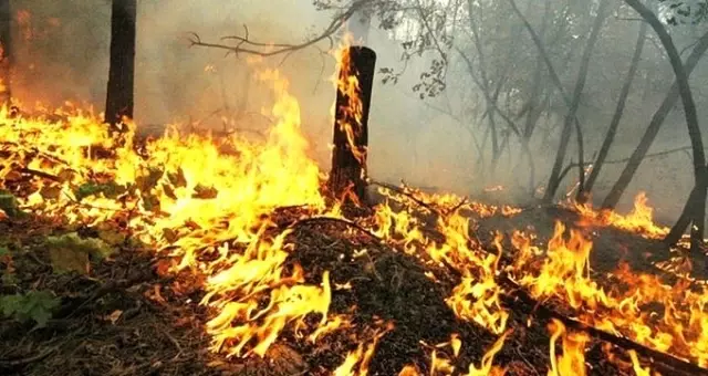 Marmaris'te polis 4 günde 4 yangının çıkmasının ardından eşkali belirlenen şüphelilerin peşine düştü Marmaris'te polis 4 günde 4 yangının çıkmasının ardından eşkali belirlenen şüphelilerin peşine düştü