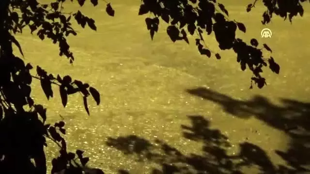Sağanak etkili oldu