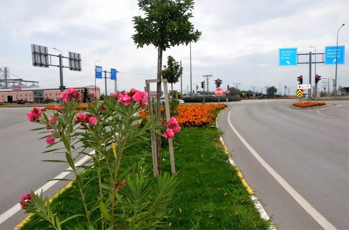 Suluova mevsim çiçekleriyle süslendi