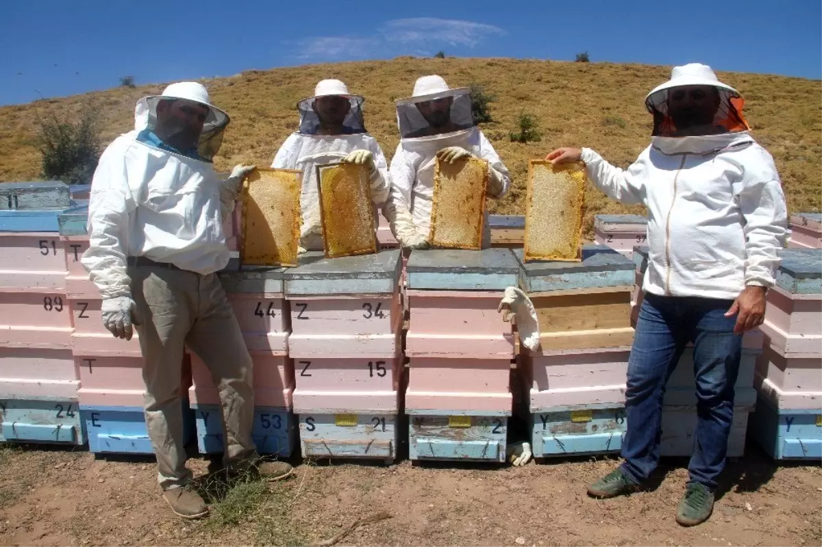 2 bin rakımda doğal 'bal' bereketi