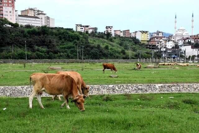 Aniden gelen sel bir ilçeyi yuttu: 1 ölü 1 kayıp