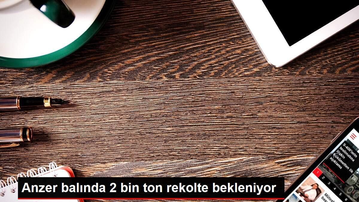Anzer balında 2 bin ton rekolte bekleniyor