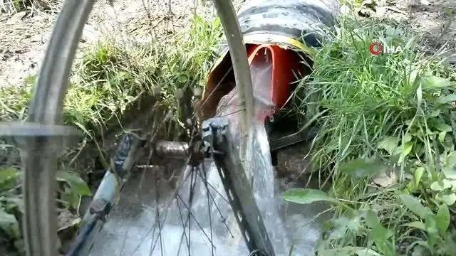 Ayı ve domuzlar onun tarlasının yanından bile geçemiyor Ayı ve domuzlar onun tarlasının yanından bile geçemiyor