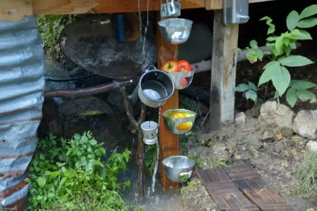 Ayı ve domuzlar onun tarlasının yanından bile geçemiyor Ayı ve domuzlar onun tarlasının yanından bile geçemiyor
