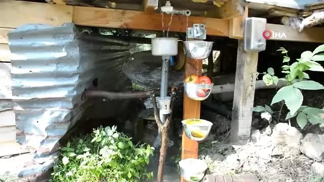 Ayı ve domuzlar onun tarlasının yanından bile geçemiyor Ayı ve domuzlar onun tarlasının yanından bile geçemiyor