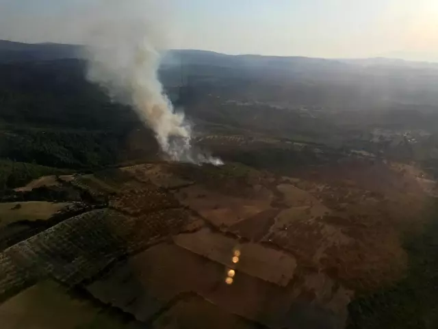 Bergama'daki orman yangını söndürüldü