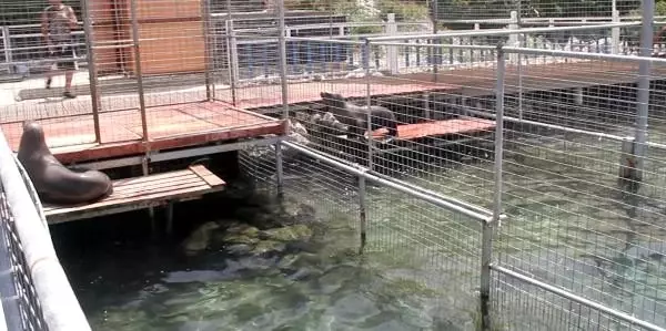 Bodrum Yunus Parkı'nın kapatılması için 71 bin imza