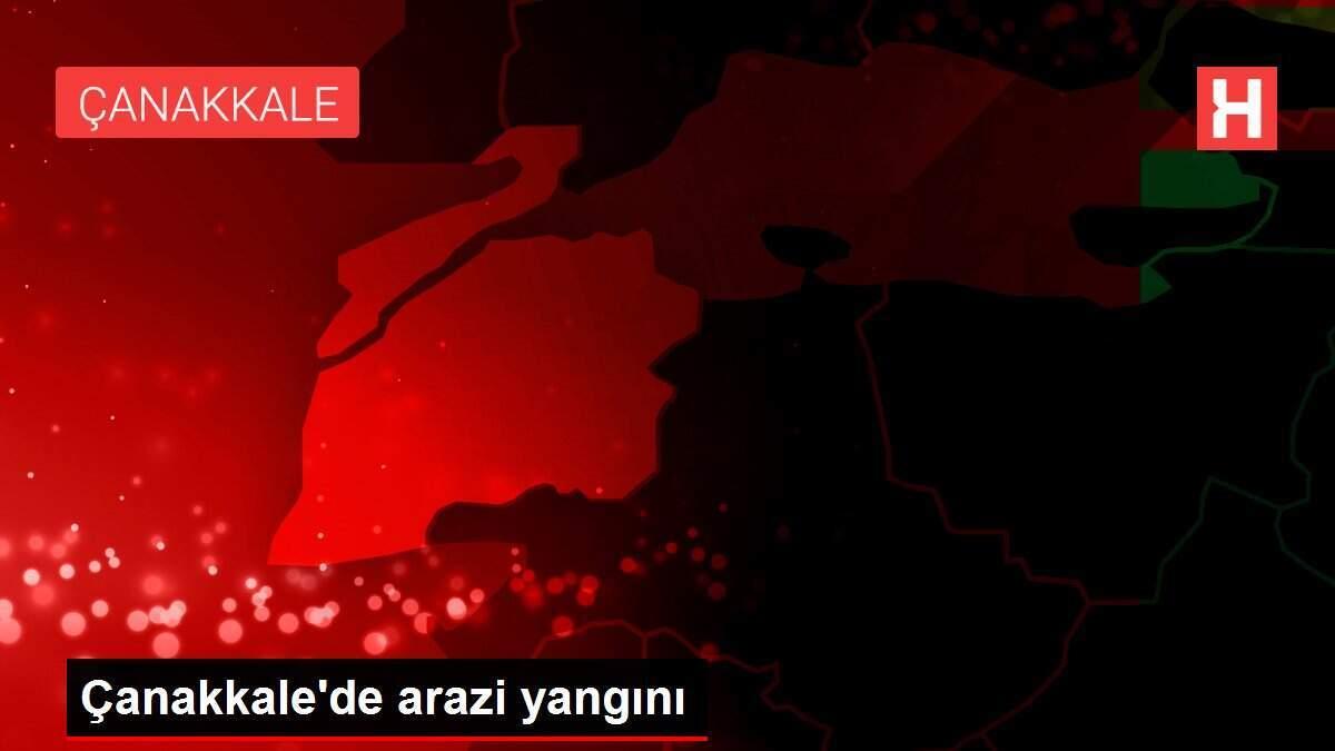 Çanakkale'de arazi yangını