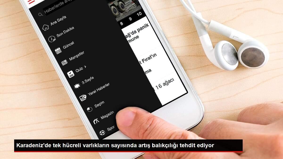 Karadeniz'de tek hücreli varlıkların sayısında artış balıkçılığı tehdit ediyor