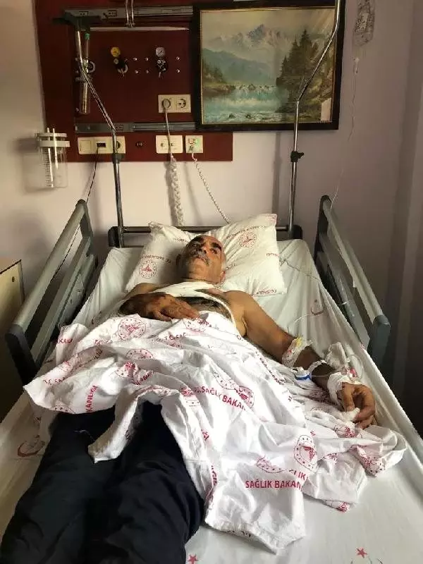 Motosikletle ayıya çarpan çift yaralandı