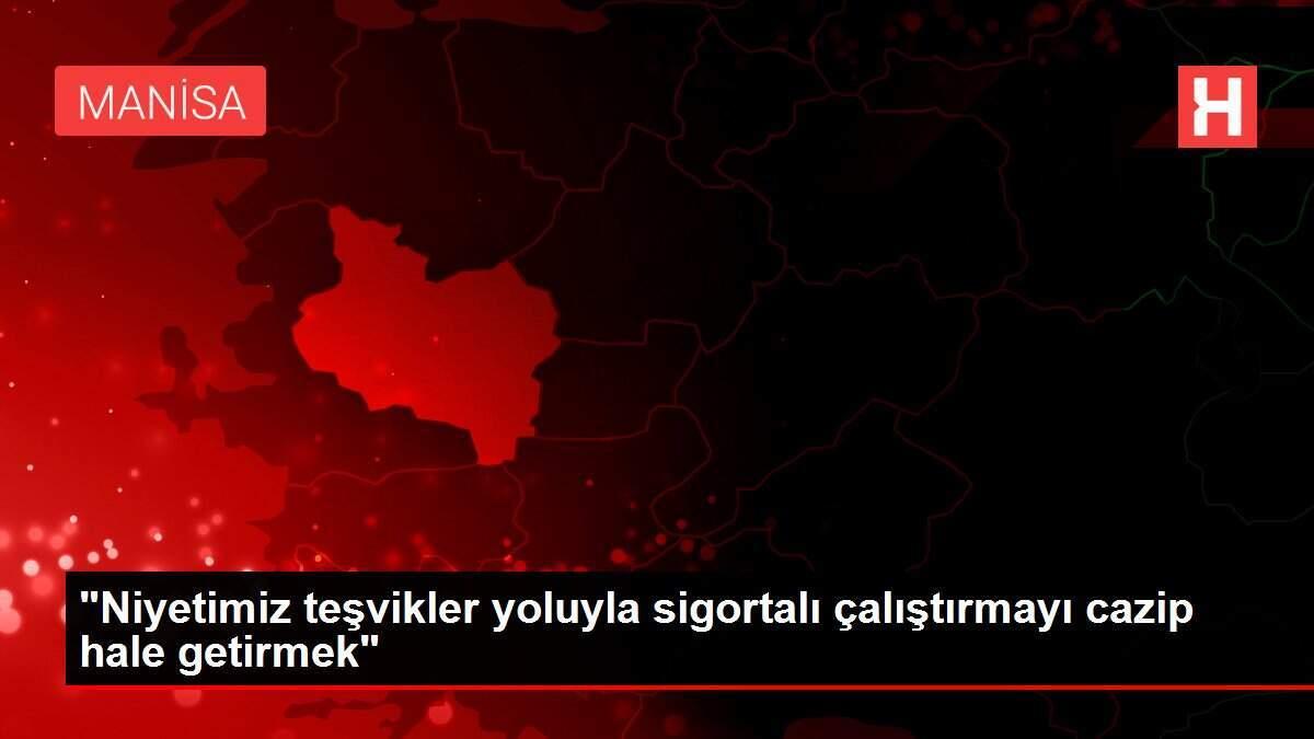 'Niyetimiz teşvikler yoluyla sigortalı çalıştırmayı cazip hale getirmek'