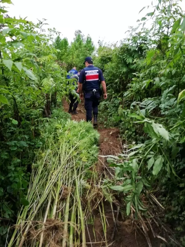 Samsun'da uyuşturucu operasyonu: 2 gözaltı