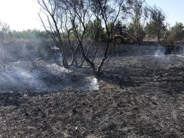 Tekirdağ'da orman yangını Tekirdağ'da orman yangını