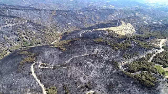 THK, 45 milyonluk hizmet için 90 milyon teklif verdi
