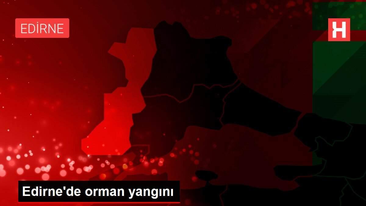 Edirne'de orman yangını