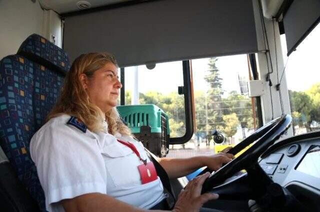 Engelli kedilerle otobüs şoförlüğü yapıyor