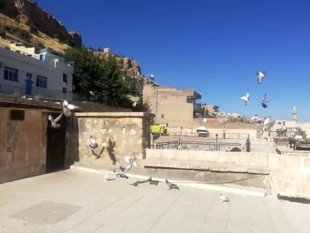 Mardin�de gökyüzünü paylaşamadılar Haberler