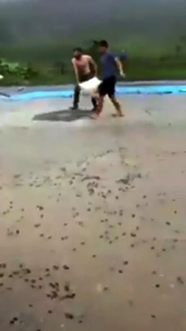 Ordu'da sağanak fındığı vurdu