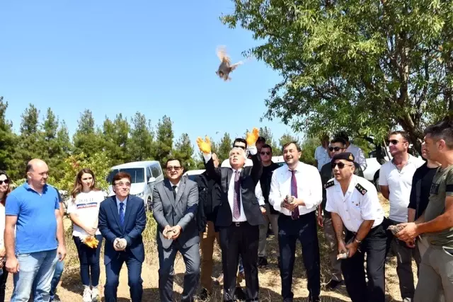 Tekirdağ'da 500 keklik doğaya salındı Tekirdağ'da 500 keklik doğaya salındı