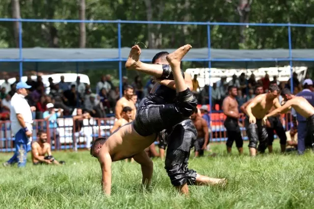 28. Geleneksel Yayla Seki Yağlı Güreşleri'ni Ali Gürbüz kazandı 28. Geleneksel Yayla Seki Yağlı Güreşleri'ni Ali Gürbüz kazandı