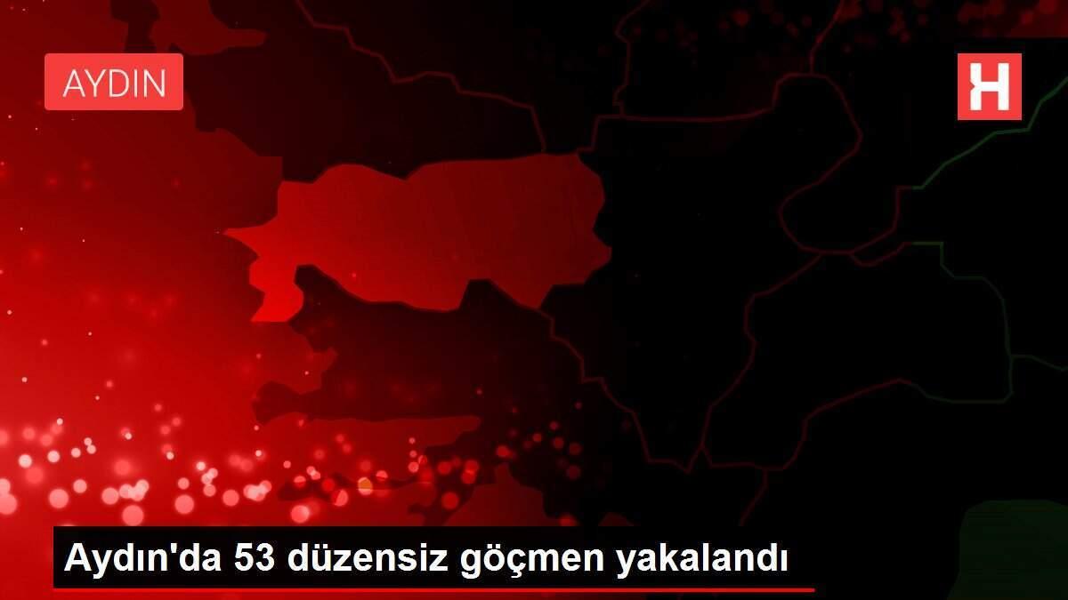 Aydın'da 53 düzensiz göçmen yakalandı
