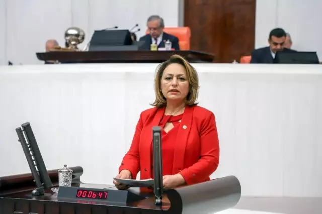 CHP Adana Milletvekili Dr. Müzeyyen Şevkin: Son 11 yılda 2 bin 975 kadın öldürüldü