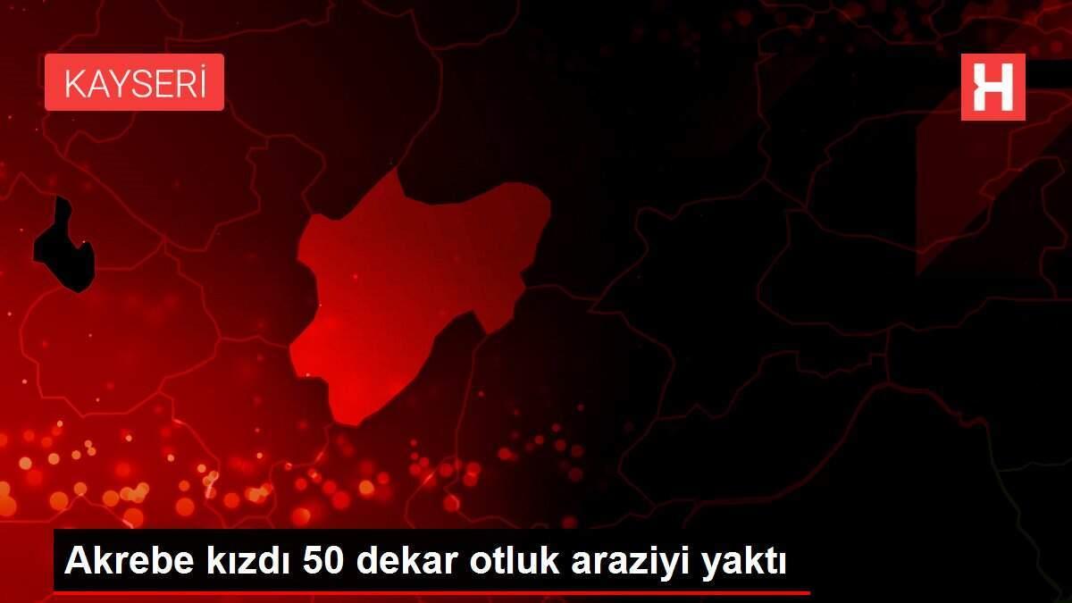 Akrebe kızdı 50 dekar otluk araziyi yaktı
