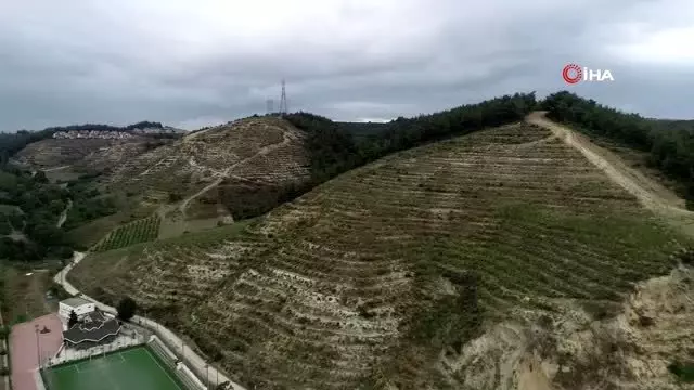 Bir metrekaresi imara açılmadı... 47 bin fidan boy vermeye başladı Bir metrekaresi imara açılmadı... 47 bin fidan boy vermeye başladı