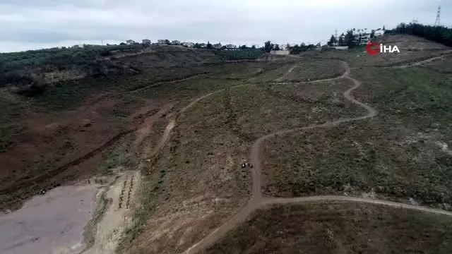 Bir metrekaresi imara açılmadı... 47 bin fidan boy vermeye başladı Bir metrekaresi imara açılmadı... 47 bin fidan boy vermeye başladı