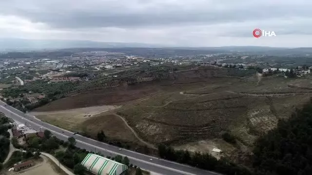 Bir metrekaresi imara açılmadı... 47 bin fidan boy vermeye başladı Bir metrekaresi imara açılmadı... 47 bin fidan boy vermeye başladı